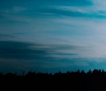 caregiver and two children walk toward sunset
